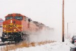 BNSF 5295 West